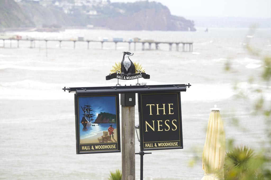 The Ness Bed & Breakfast Teignmouth Exterior photo
