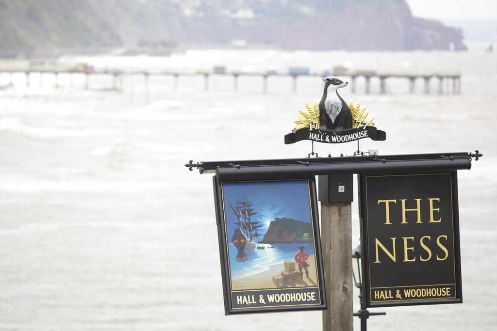 The Ness Bed & Breakfast Teignmouth Exterior photo